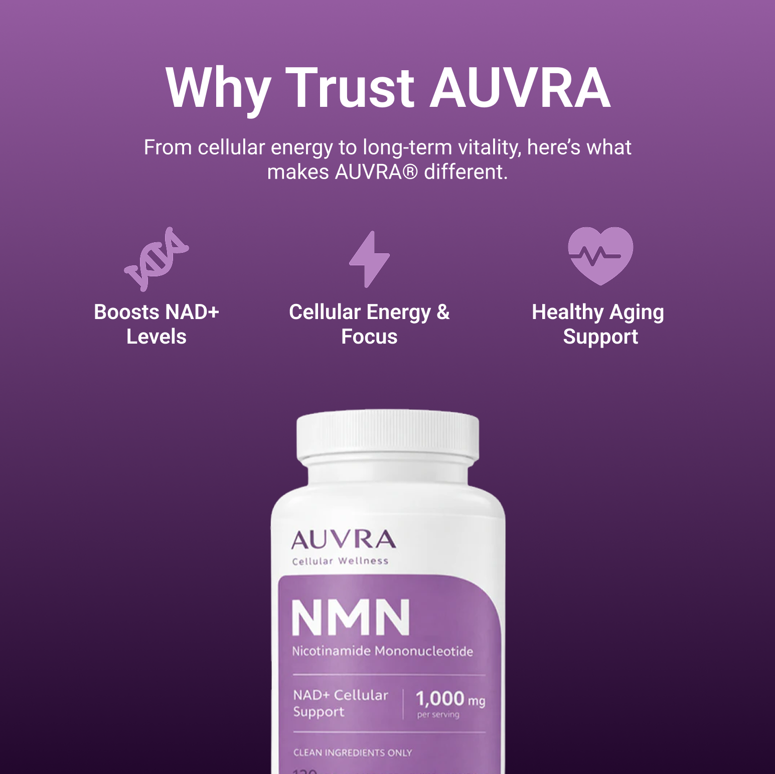 Supports NAD+ levels & cellular energy