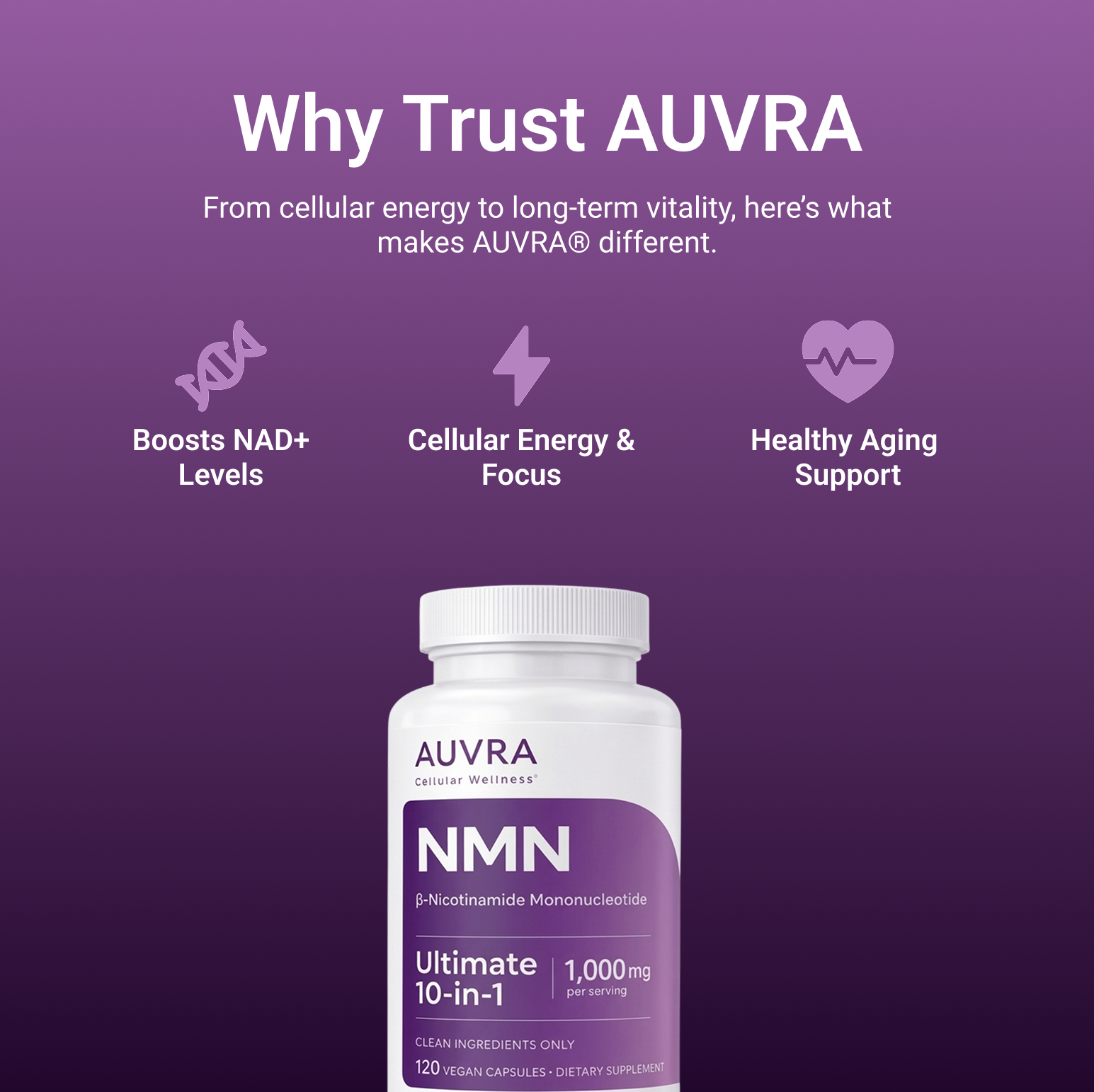 Auvra NMN I Supports NAD+ levels & cellular energy